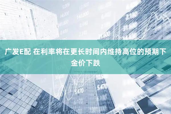 广发E配 在利率将在更长时间内维持高位的预期下金价下跌